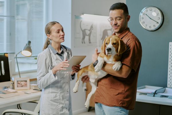 Veterinária usando o agente de IA